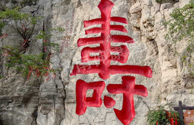 济南神康医院组织员工开展春游活动——潍坊青州行